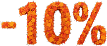 discount 10%