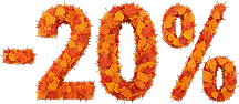 discount 20%